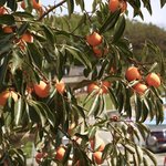 [댓글부탁해] 신인 골든차일드 멤버 <b>봉재현</b>인데 사랑의온도 양세종 그분...