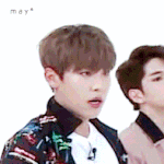 [박우진] 헐 와 잠시만
