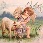 아름다운 신천지 사례, 교리비교 영상으로 진리임을 확증!!