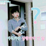 <b>JBJ</b> 숙소 고양이랑 같이 사는거 귀엽ㅋㅋㅋ