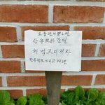 렌즈 한 쪽만 <b>훌라</b> 좀 있는디