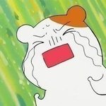 [드루와] 우리집 고양이가 너무 귀여워서그런뎅