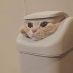 [댓글부탁해] 무서운<b>거나</b> 신기한거 얘기하고가