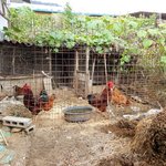 [드루와] 다들 <b>연휴동안</b> 뭐했어?