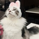 [EXO] 탄이 <b>근황</b>보고가세요^^