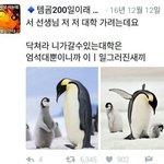 오늘 최고<b>기온</b> 29도 뭐냐 ㅁㅊ