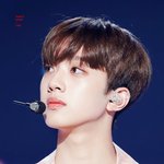 [라이관린] 관나<b>잇</b>
