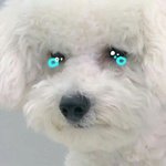얼굴이 <b>어려</b>보이면