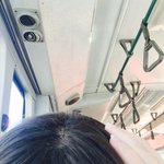 [개깊은빡침] <b>잡초</b>가 자라고있어요(사진포함)