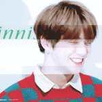 [강다니엘] 기사)워너원 강다니엘 '녤니단 길만 걷자'