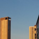 나 동아리 선배들 군기쎈데