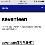 [세븐틴] 애들이 무대로 해준 수록곡들