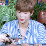 [강다니엘] 한/밤 비하인드, 강고기(+링크,우리원)