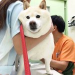아니 나 아빠한테 상처받음 ㅠㅠ ㅋㅋㅋㅋㅋㅋㅋ