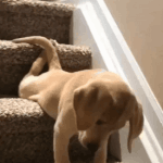 이불 <b>따땃</b>해애ㅐ애애애애애이이이이ㅣㅇ