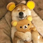 <b>뷰러</b> 추천해줘❤