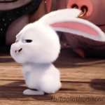 이 <b>토끼</b> 어느 애니에 나오는 토낀지 아는사람?