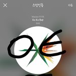 [EXO] 글 싸지르면 <b>판판</b>부인