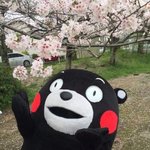 너넨 본진 입덕하게된 계기가 뭐임?