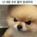 우리 시험전날에 <b>소풍</b>간다