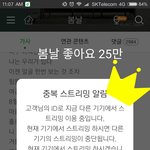 [방탄소년단] @ 경축! 봄날 좋아요 25만!!! @