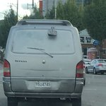 이 차의 <b>정체</b>는??