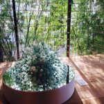 <b>인생샷</b> 건지고 싶은 사람들 드루와드루와