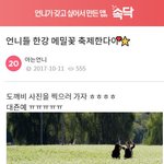[꼭조언부탁] 시부모님이랑 <b>꽃구경</b> 간다고 했다가 욕먹었습니다..