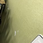 [조언부탁] 전세집 만료시에 <b>도배</b>문제