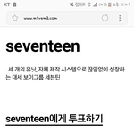 [세븐틴] <b>캐럿들</b>의 대댓대댓 #1