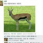 [댓글부탁해] 진짜 새<b>학기</b>때 친구 잘 사귀어야돼ㅋㅋㅋㅋㅋㅋㅋㅌㅌㅌㅌ