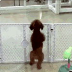 기분<b>개조</b>타히히
