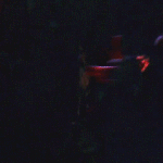 [백현] Lotto  <b>MV</b> 백현