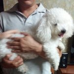 [ㅋㅋㅋㅋㅋ] 우리 할머니 츤데레<b>이심</b>