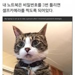 너네 살면서 조카 <b>우연</b>인 경우 있냐