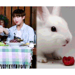 [박지훈] 토끼 3탄ㅋㅋㅋㅋㅋㅋㅋ