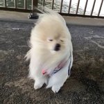 [ㅋㅋㅋㅋㅋ] 내 시험<b>점수</b> 사람새낀가