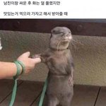 악플 좀 쓰지 마라ㅋㅋㅋㅋㅋ