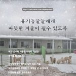 유기동물들에게도 따뜻한 겨울이 될 수 있도록..