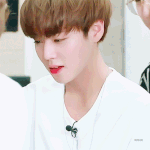 [워너원] 박쥰 얼굴로 나라 구함