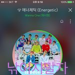 [워너원] ⬇️아래 글 두개 어그로 낚시 캡쳐O