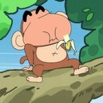 oioi <b>검정</b> vs 네이비 추반좀
