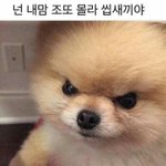 [조언부탁해] <b>백일</b> 선물 뭐 해주지