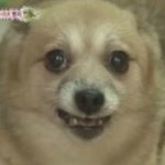 우리반 양아치들 <b>한림</b> 모델과 간다고 난리쳤음