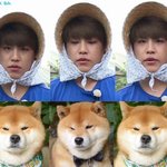 [박우진] ㅅㄷ) 참최애들아