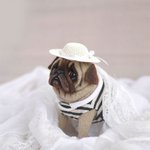 진짜 <b>인형</b> 맞다고?
