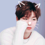 [강다니엘] 씽/네, 인스타스토리(프로필사진 클릭)