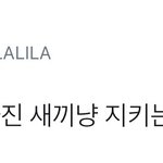 [시우민] 시우민 엄마냥이 모먼트