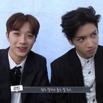 [라이관린] 관린이 성덕이다성덕