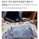 [댓글부탁해] <b>후집</b> 색 골라줄 사람ㅠㅠㅠ 골라주면 좋은 일 생길거야